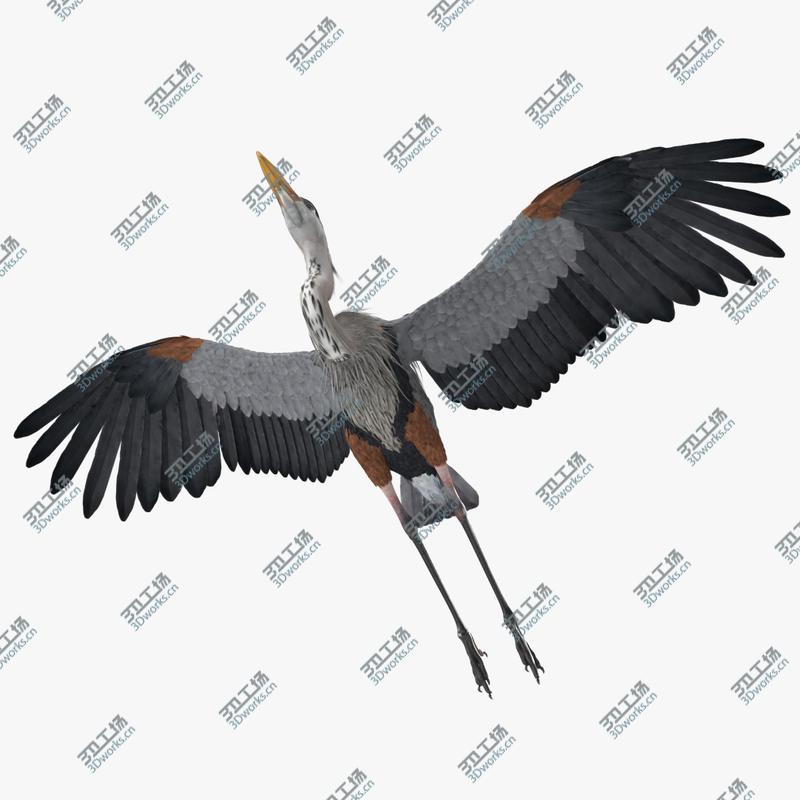 images/goods_img/202104092/Great Blue Heron Rigged for Maya 3D model/1.jpg